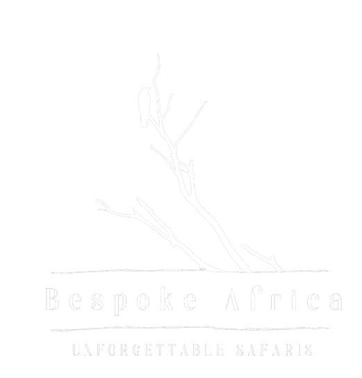 budget-safari-logo