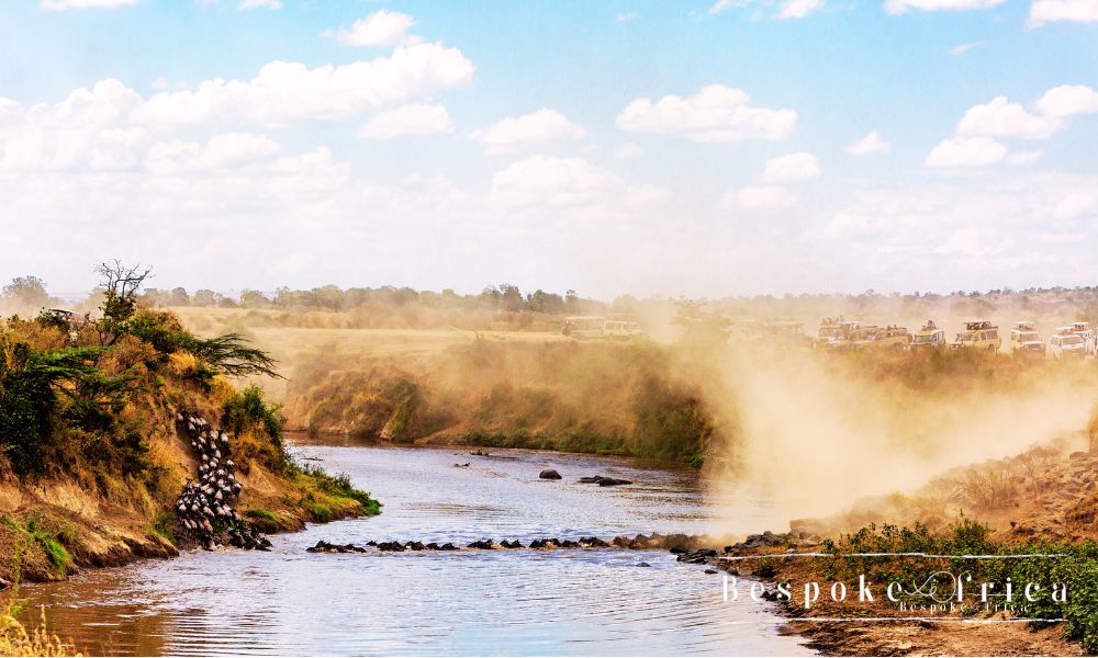 tourist capturing the drama of wildebeest and crocodiles at the mara river